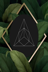 Enhanced Brand & Web Design