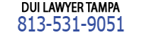 Tampa DUI Lawyer Group