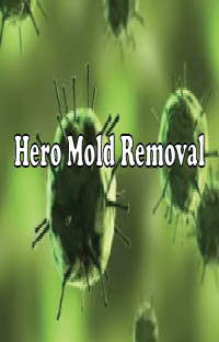 Hero Mold Removal - VA Beach