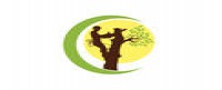 CENTENNIAL TREE SERVICES