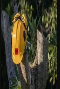 SWFL Tree Service Spring Hill