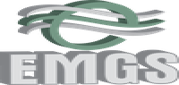 Environmental & Medical Gas Services Inc.