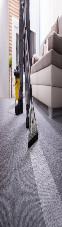 Glendale Carpet Cleaner