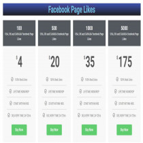 Buy Facebook Like USA