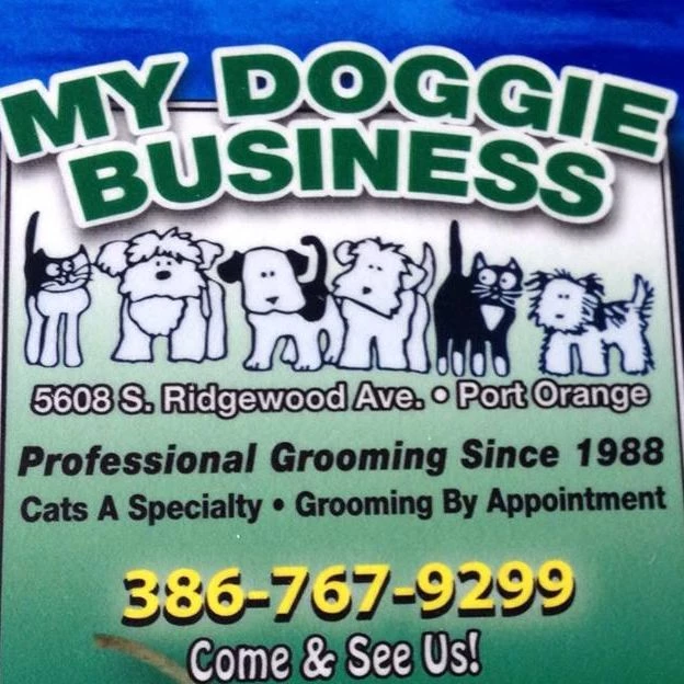 City Local Biz