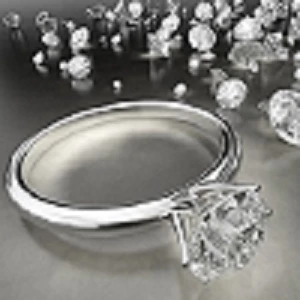 Shehnai Bridal Boutique