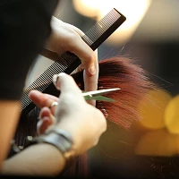 Camel's Hair-Em
