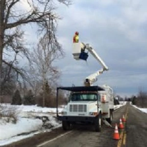 Edwards Tree & Land Clearing Services Inc