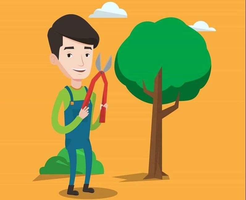 Elgin Tree Service
