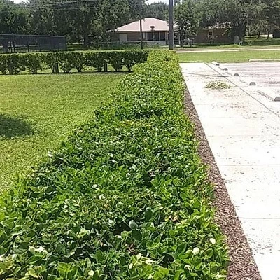 Hernandez Landscaping