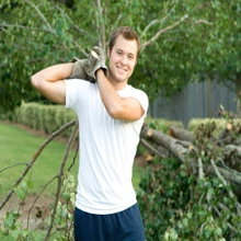 H & H Tree Services Inc.