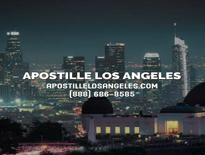 City Local Biz