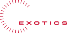 Tampa Exotic Car Rentals