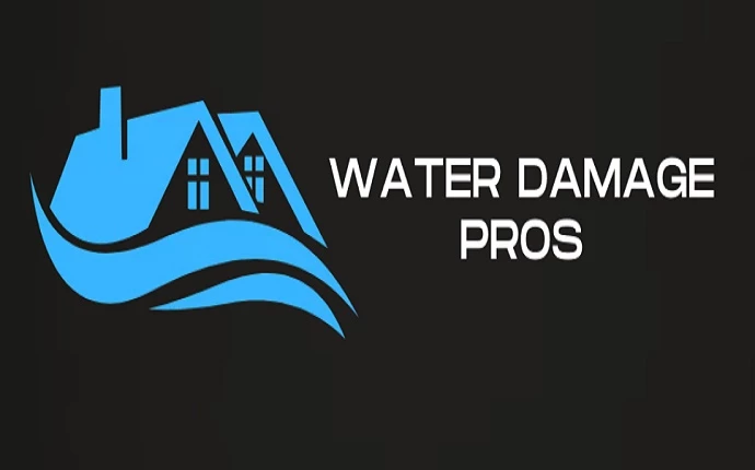 Water Damage Pros of Alexandria