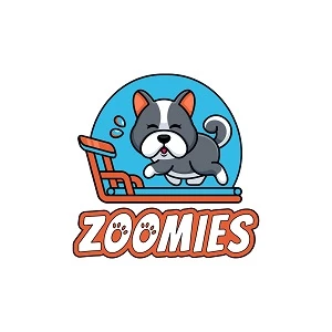 City Local Biz