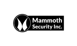Mammoth Security Inc. Old Saybrook