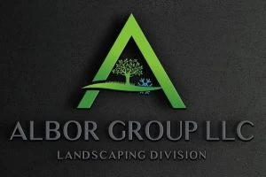 Albor Group LLC