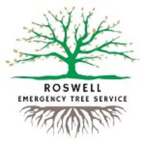 Roswell Emergency Tree Service