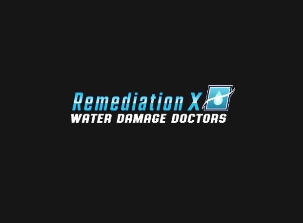 REMEDIATIONX