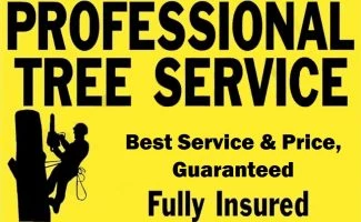 Professional Tree Service LLC