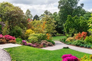 Orem, UT Landscaping