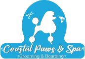 City Local Biz