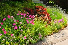 Landscaping Clovis