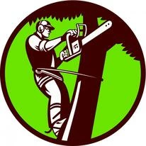 Kansas City Tree Removal Service