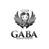 Gaba Telepsychiatry PC