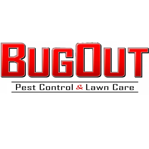 City Local Biz