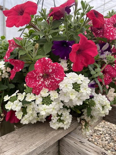 Old Valley Nursery - Retail