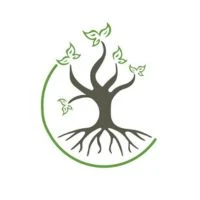Five oaks chiropractic