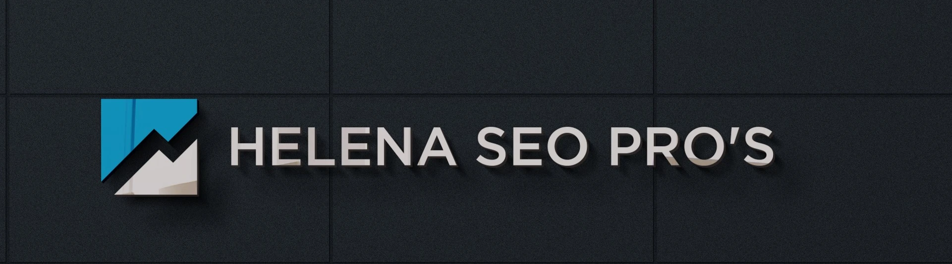 Helena SEO Pro's