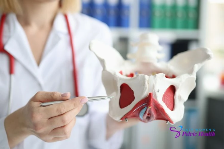 katyurogynecologist