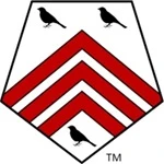 SingTone Technologies