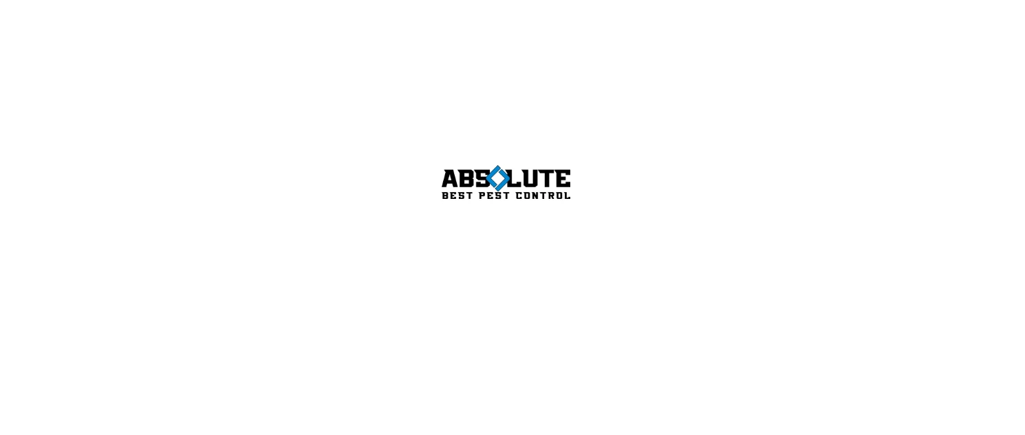 Absolute Best Pest Control