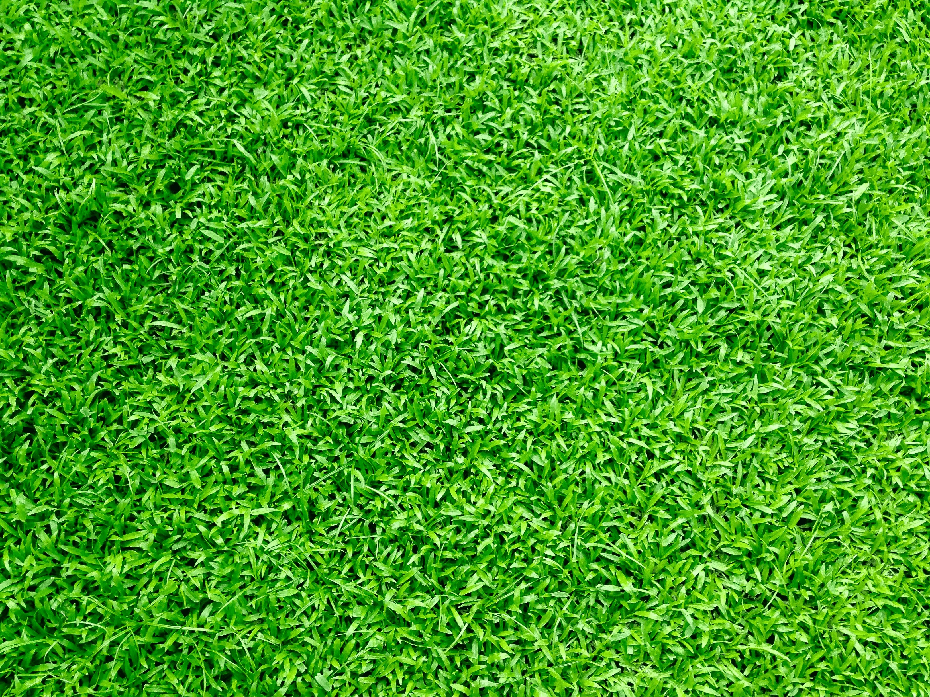 Lawn Care Oakland Park Florida