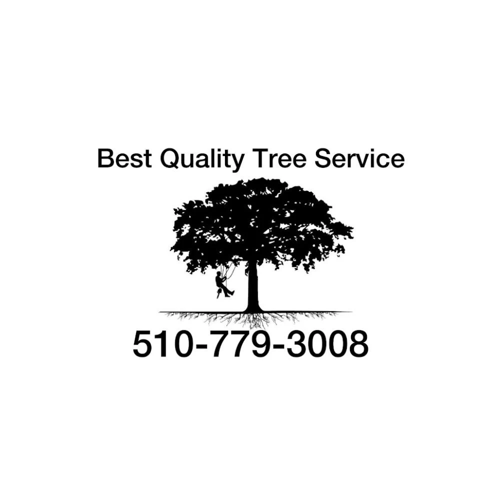 City Local Biz