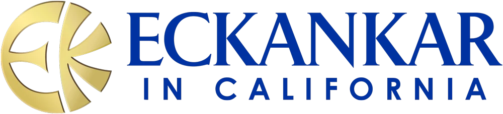 City Local Biz