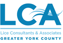 Lice Clinics Rock Hill - LCA York County