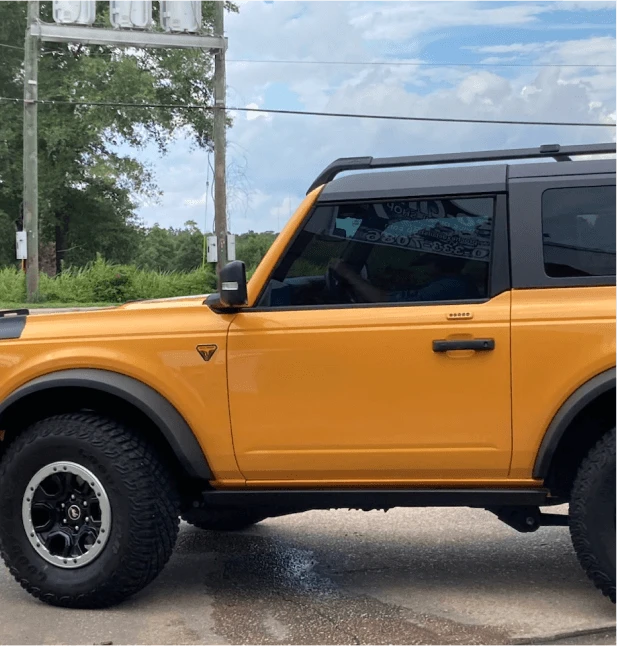 Pro Chex Detail & Tint