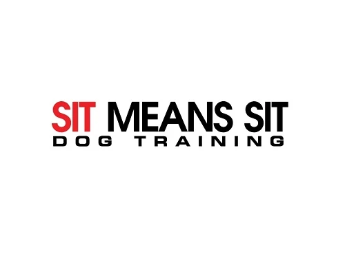 Sit Means Sit Denver Dog Training