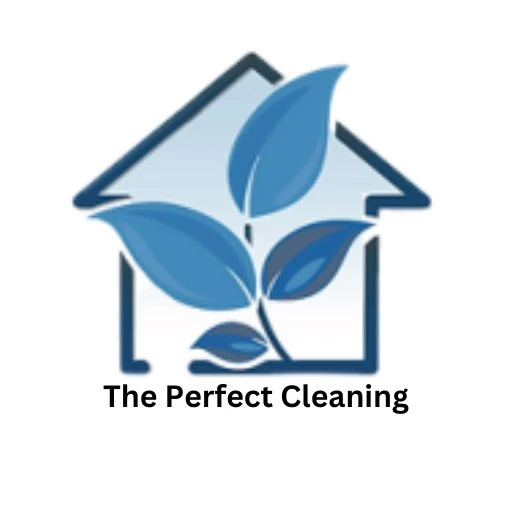 Perfect Cleaning Concept
