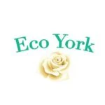 City Local Biz