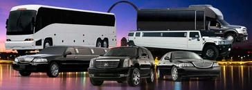 City Local Biz