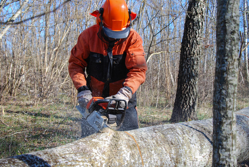 Tree Service Mobile AL