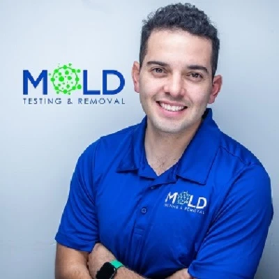Mold Testing & Mold Removal Services