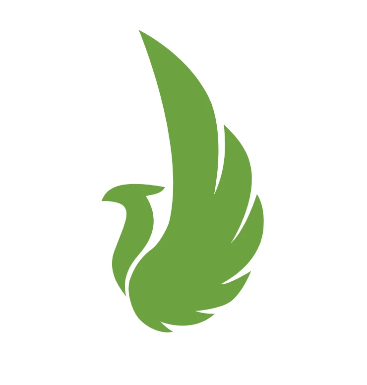 Celer: Streamlined Business Solutions